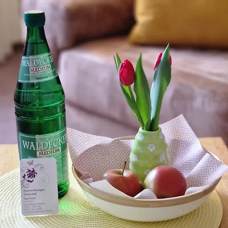 Lejlighed Tannenhof Willingen (Upland)